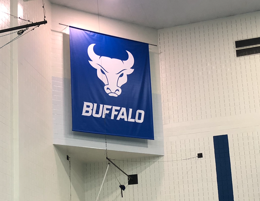 UB Bull Flag