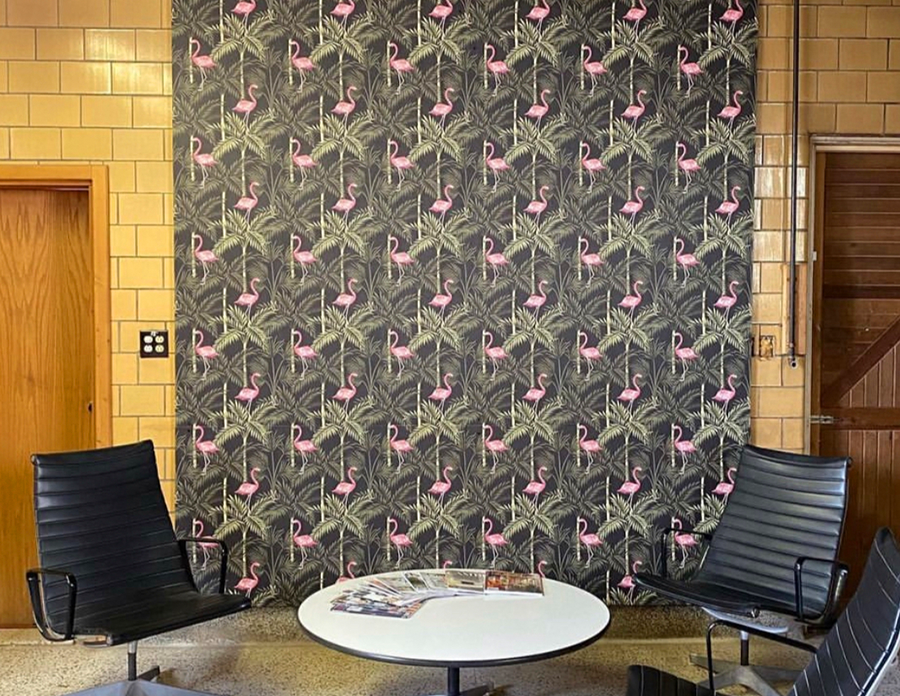 Flamingo Custom Wallpaper Buffalo NY